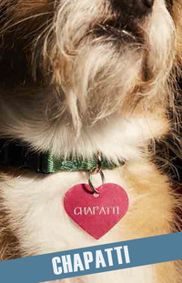 Chapatti show poster