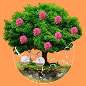 Midsummer's Dream: Bike Ride 2021 show poster