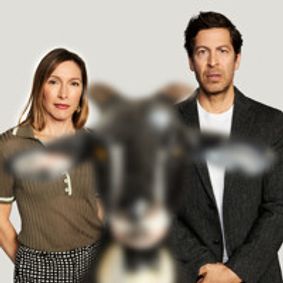 The Goat or, Who is Sylvia? show poster