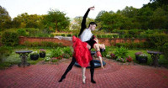 Don Quixote show poster