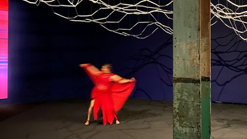 365 Steps: Of Sea and Colour show poster