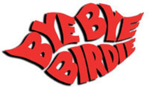 Bye Bye Birdie show poster