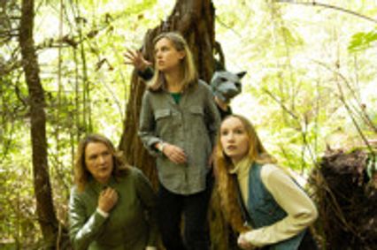 Wolves Are Coming For You show poster