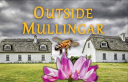 Outside Mullingar show poster