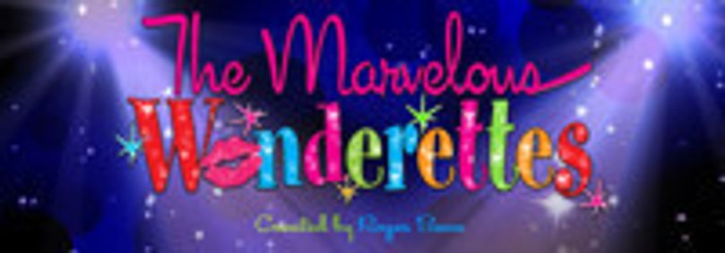 The Marvelous Wonderettes show poster