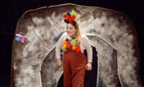 Baby Bear (older audience) show poster