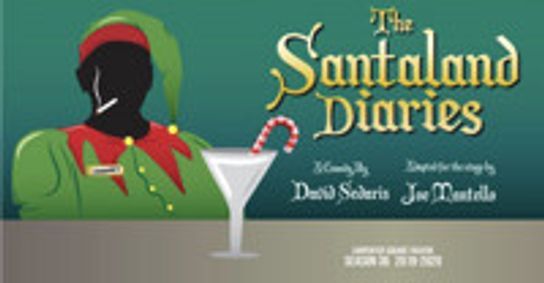 The Santaland Diaries show poster