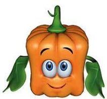 Spookley the Square Pumpkin