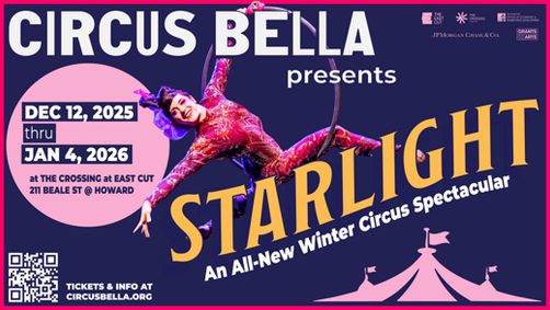 STARLIGHT show poster