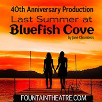 Last Summer at Bluefish Cove