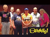 Shindig! to Perform at Long Island Music & Entertainment Hall of Fame July 13th