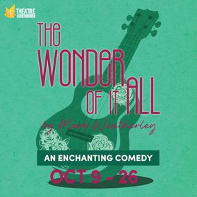The Wonder of it All show poster