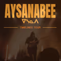 Aysanabee in Ottawa