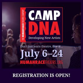 CAMP DNA - Developing New Artists show poster