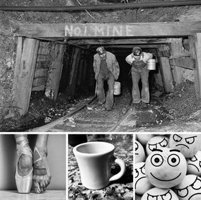 From Holler to Hallowed Halls show poster