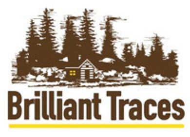Brilliant Traces show poster