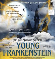 Young Frankenstein