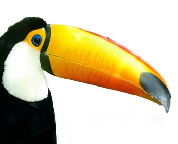 Cyrano de Bergerac show poster