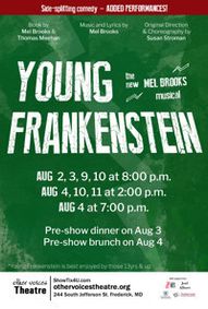 Young Frankenstein show poster