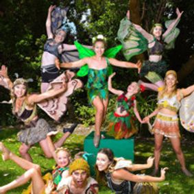 TINKERBELL AND THE DREAM FAIRIES show poster