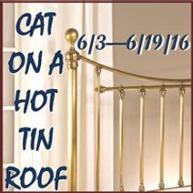Cat on a Hot Tin Roof