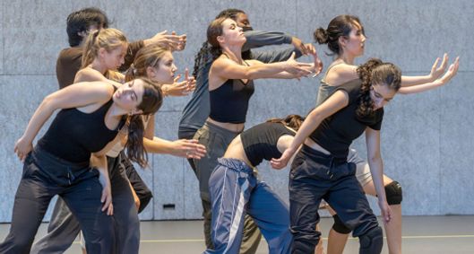 2025 Princeton Dance Festival show poster