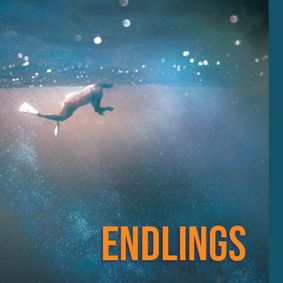 Hedgerow Theatre Company presents the regional premiere of Endlings by Celine Song show poster