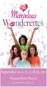 THE MARVELOUS WONDERETTES show poster
