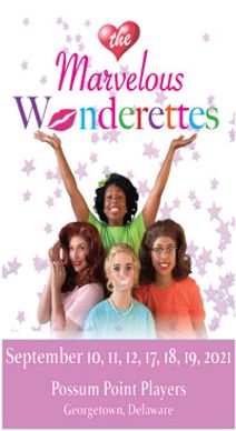 THE MARVELOUS WONDERETTES