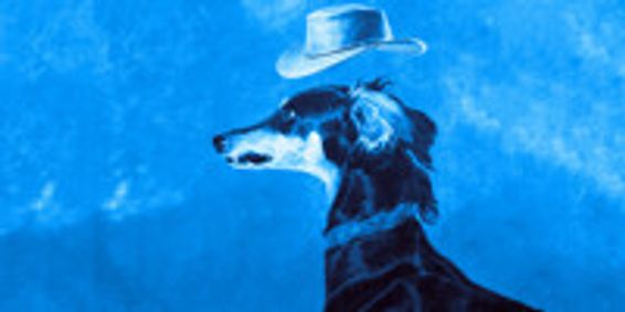 Bark Bark show poster