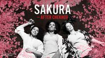 Sakura - After Chekhov