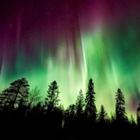 Winter Lights Concert Featuring Bach's Christmas Oratorio show poster