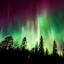 Winter Lights Concert Featuring Bach's Christmas Oratorio