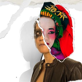 Who the hell is Robert Wayne? show poster