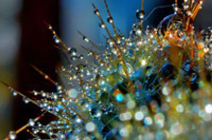 Gallery at TCA presents WATER show poster