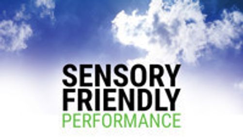 The Curious Incident of the Dog in the Night-Time - Sensory-Friendly Performance show poster