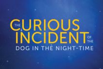 The Curious Incident of the Dog in the Night-Time