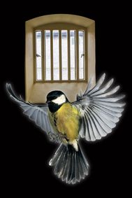 Prisoner At The World’s End show poster