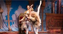 Centre Company presents The Nutcracker