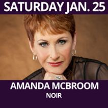 Amanda McBroom - NOIR