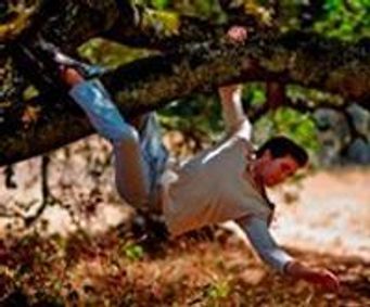 Fall Dance Concert 2013 at SSU show poster