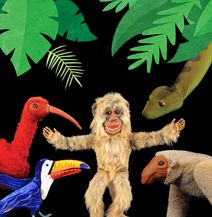 Rainforest Adventures