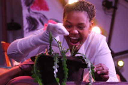 THIS SOIL, THESE SEEDS... show poster