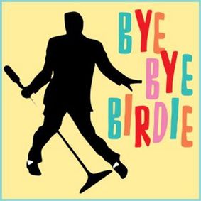 Bye Bye Birdie show poster