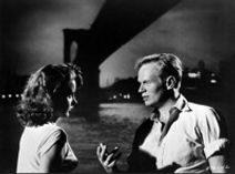 Carte Blanche: Amy Taubin