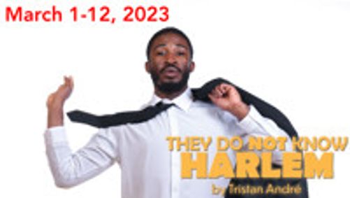 They Do Not Know Harlem show poster