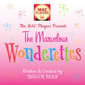 The Marvelous Wonderettes show poster