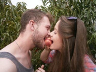 THE PEACH SEASON by Debra Oswald show poster