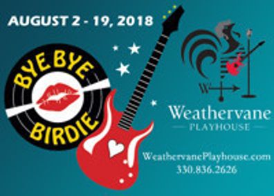 Bye Bye Birdie show poster