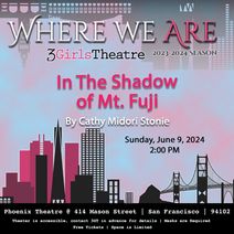 In The Shadow of Mt. Fuji